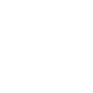Diglit logo