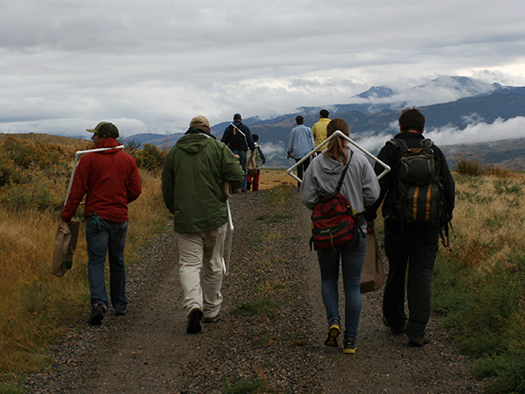 Citizen science