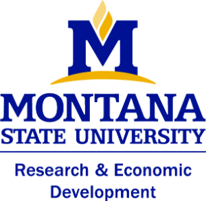 MSU Office of Research and Economic Development